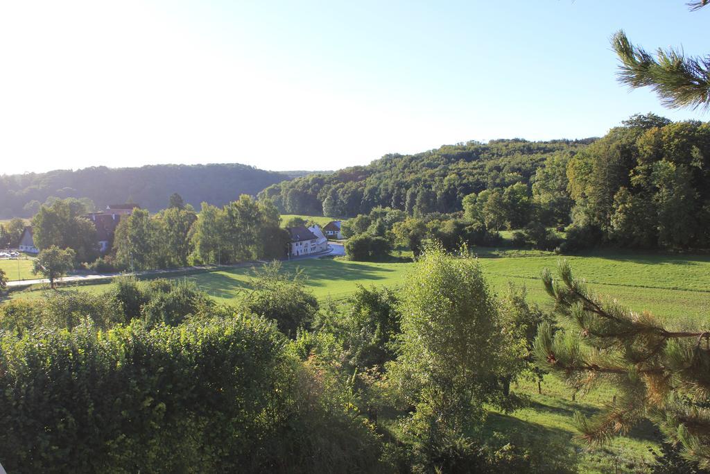 Hotel Haus Kallenberg Herbrechtingen Номер фото